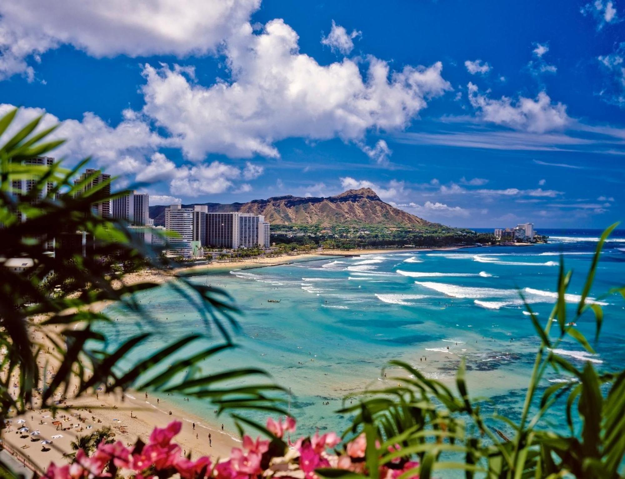 Mountain View Condo W/ King-Size Bed, Free Parking Honolulu Exteriör bild