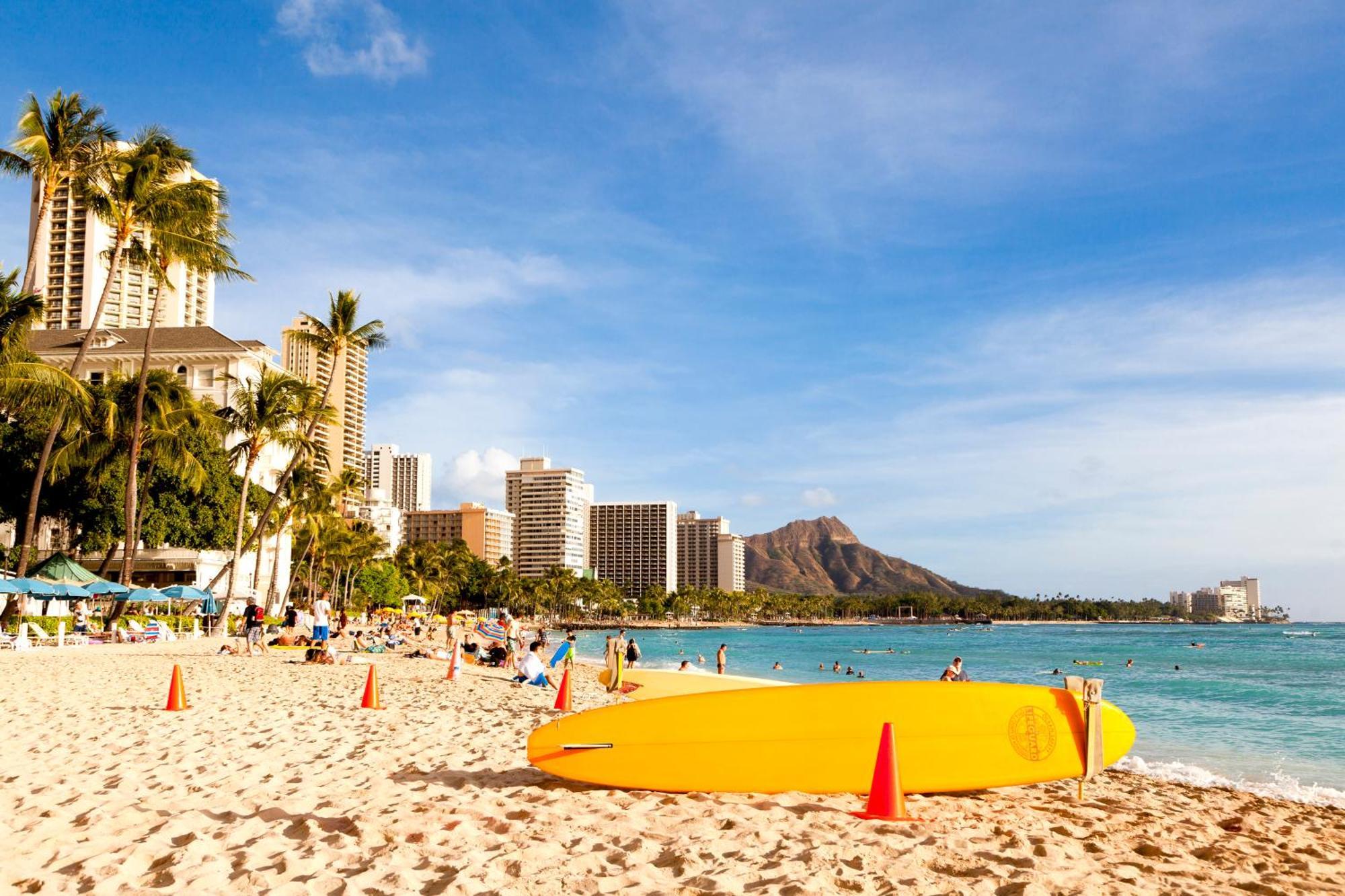 Mountain View Condo W/ King-Size Bed, Free Parking Honolulu Exteriör bild